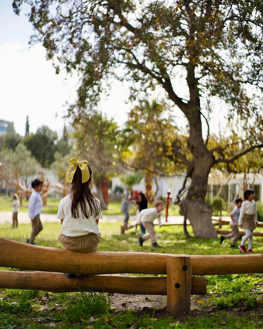 Zeytin Ağacı Primary School Bodrum